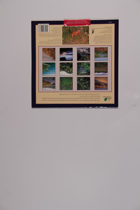 IMG_9884.JPG